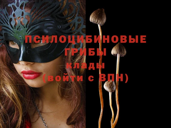 Альфа ПВП Горнозаводск