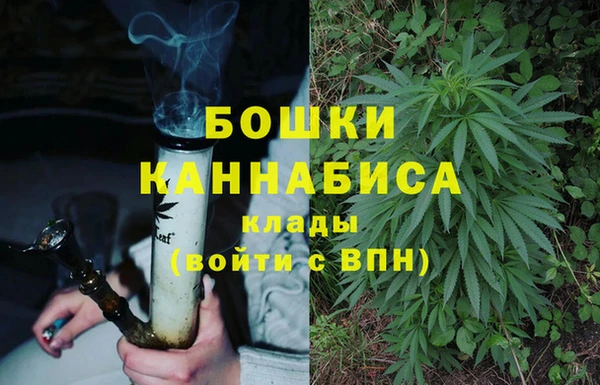 дурь Гусиноозёрск